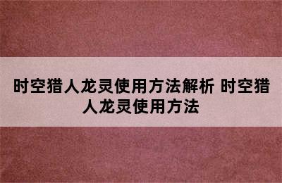 时空猎人龙灵使用方法解析 时空猎人龙灵使用方法